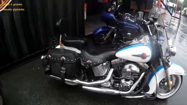 Мотофестиваль Harley Davidson часть 2