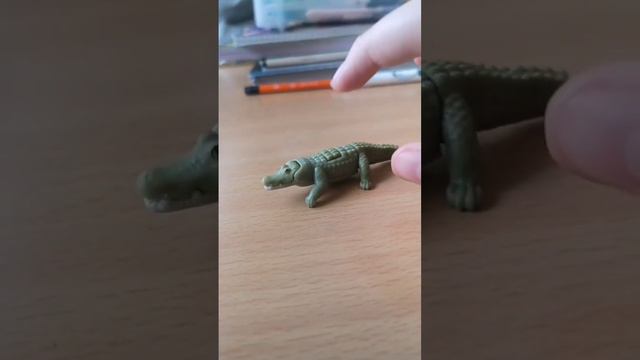 6d85329d1c8b7670f445112fce006434