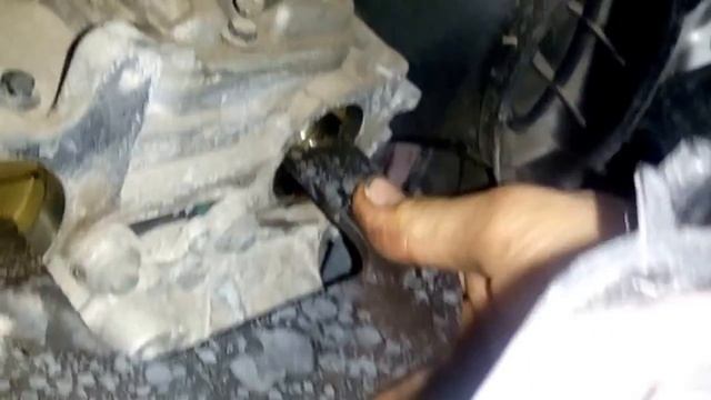 Rutube_account_14191421