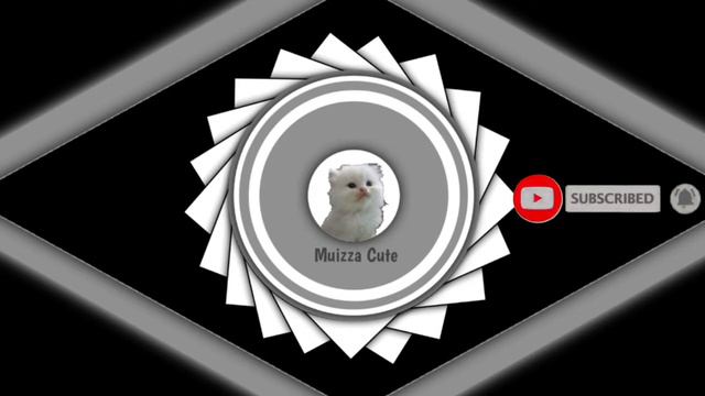 MUIZZA CUTE