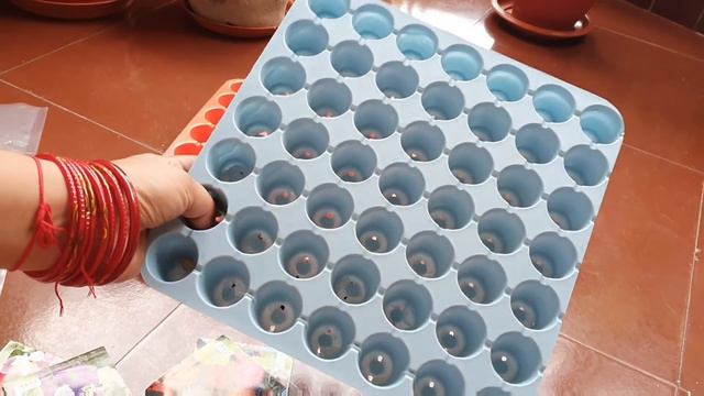 Winter Vegetables & Flowers🌿seeds बालकॉनी छोटी है पर तैयारी पूरी है🌿