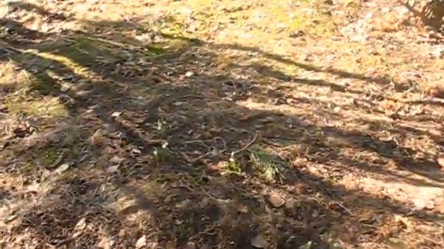 Садовники Работа весной в саду