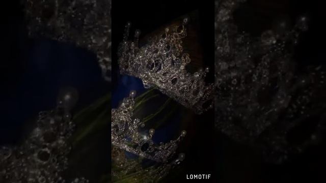 Корона ручной работы