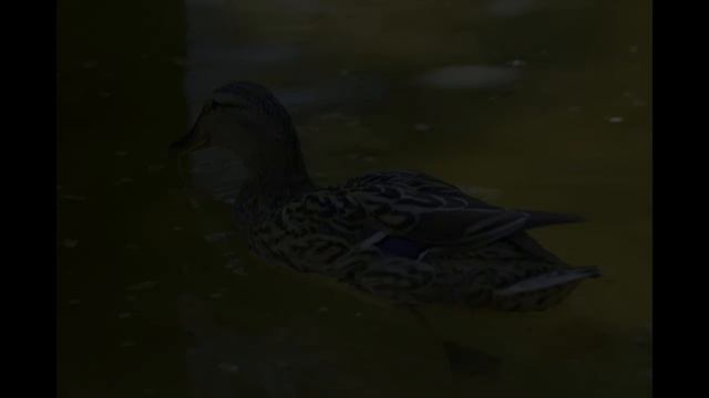 Nikon D80 Sample Photos