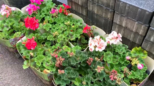 РАБОТЫ НА УЧАСТКЕ: ДОДЕЛАЛА ДОРОЖКУ, САЖАЮ ЦВЕТЫ 💐