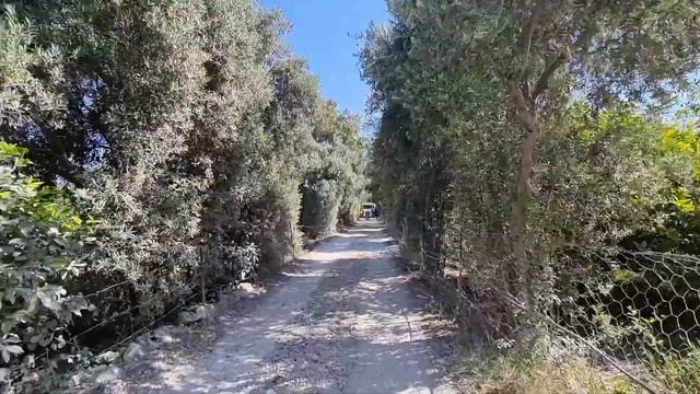 Турция, Мерсин. Сколько стоит турецкий завтрак? #мерсин #отдыхвтурции #турецкийзавтрак