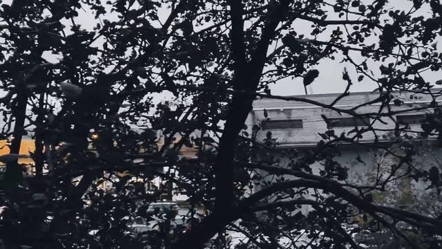 VID 20231011 072318 О чем так сладко плачет соловей...Франческо Петрарка Павел Васильев Лахтински