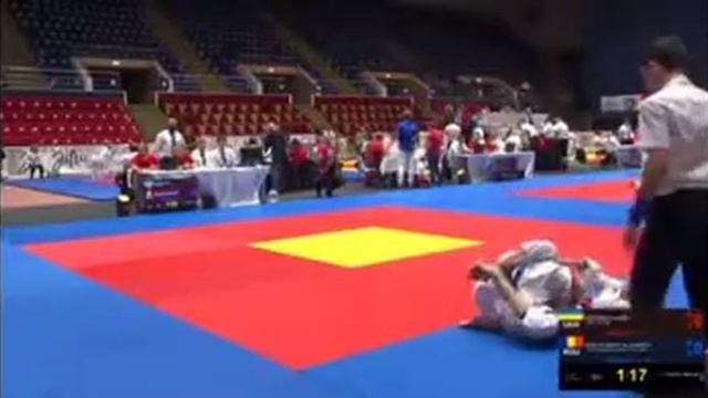 Кубок мира. Румыния.Даша победа.