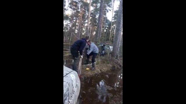 Покатались по весеннему лесу. Март 2017г.