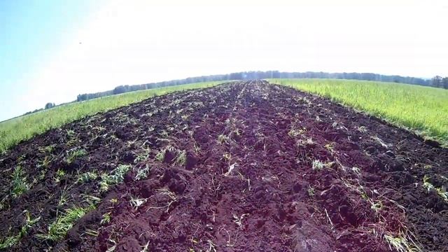 ДТ-75МЛ. Пашем пары. 1/2