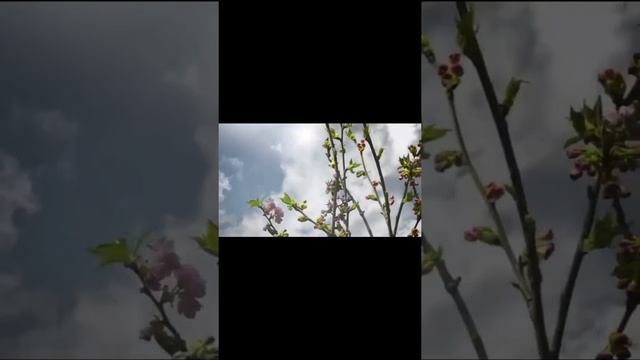 Идеи для вечерних причесок