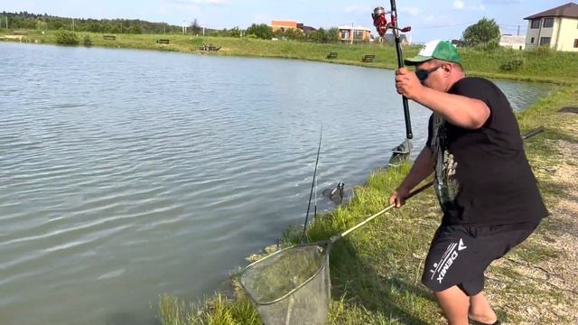 Африканский сом в зачете