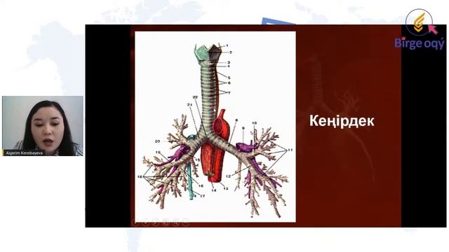 20ec1c84719fbdd3e3cbff99501ac9f2