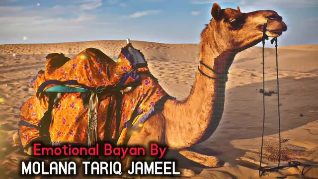Hazoor Pak (SAW) Aur Bhooke Auont Ka Waqia  | Bayan By Molana Tariq Jameel