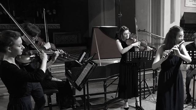 G.Ph. Telemann Flute Concerto D Major | III. Largo