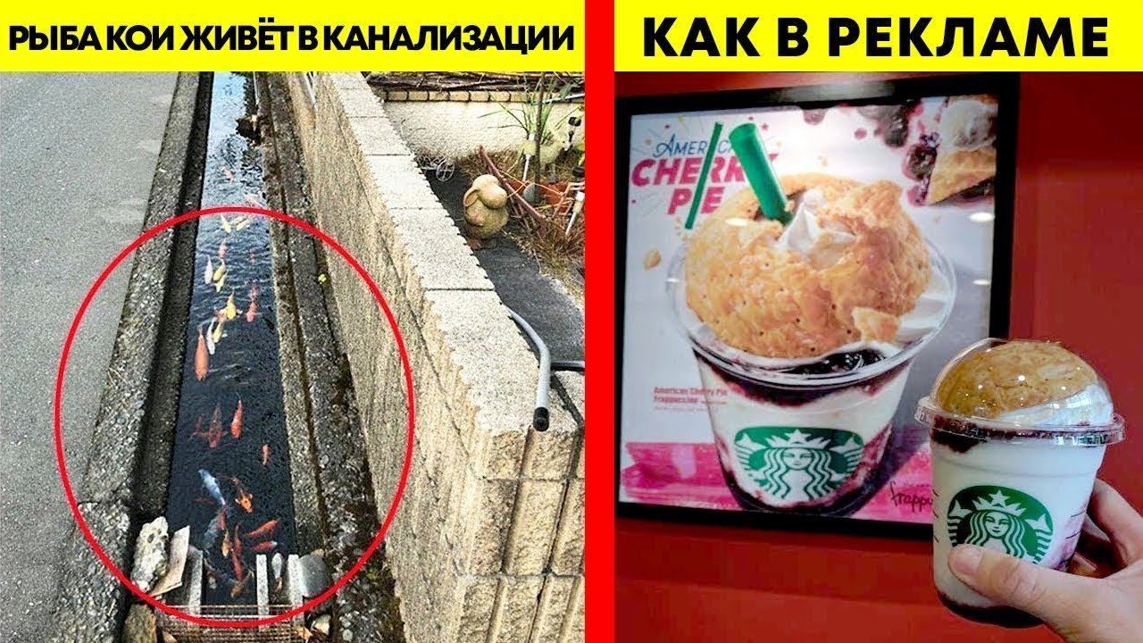 Профессор ГУГЛОВ