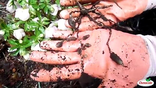 Cf0d39e5396866116460e30cc19a8f57