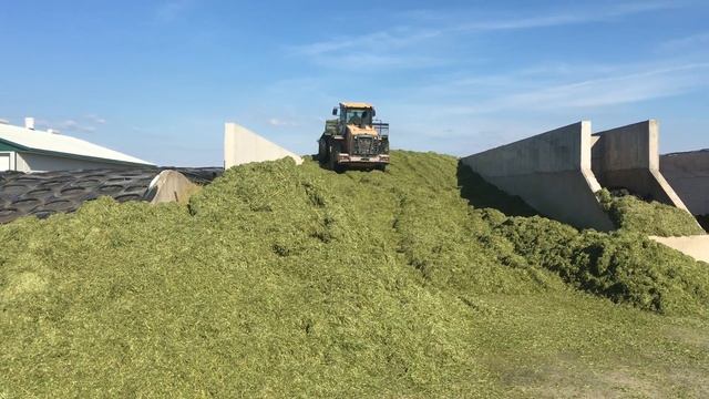 Hyundai HL757-9 Packing Bunker Silo And Penta DB70 Dump Wagen