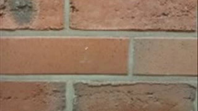 Bb14404e0353edfbf4aefba2d319a75f