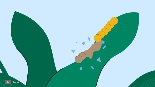 Вот Как Животные Превращаются в Зомби