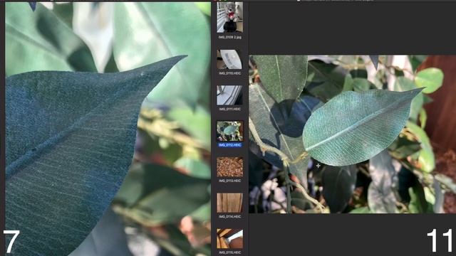 IPhone 11 Vs IPhone 7 CAMERA TEST! (Photo Comparison)