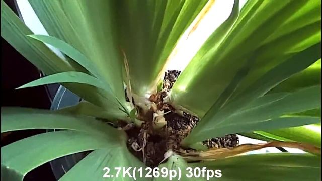 Cdb57ac2b61ec5e972c51e9aab6269dc