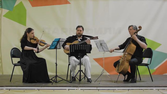 Музыкальное трио 
