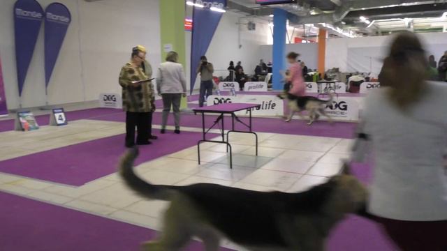 4a34458d8a48f40566b91bd0aa78adc2