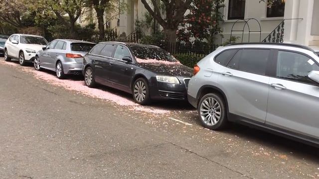 64. Жизнь в Англии.Весна в Лондоне.