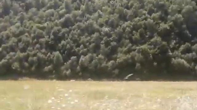 Наши Горы село Шукты