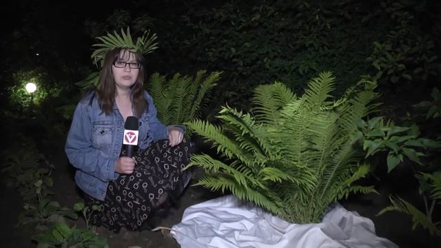 В ночь на Ивана Купалу - Патриарший сад