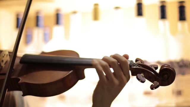 Astronomia - Coffin Dance Meme Song - Violin Cover