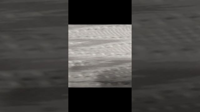 🐭Крысиное логово🐭