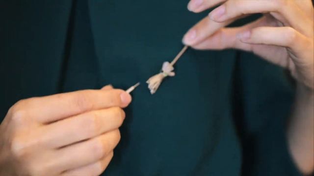 Коллекция 