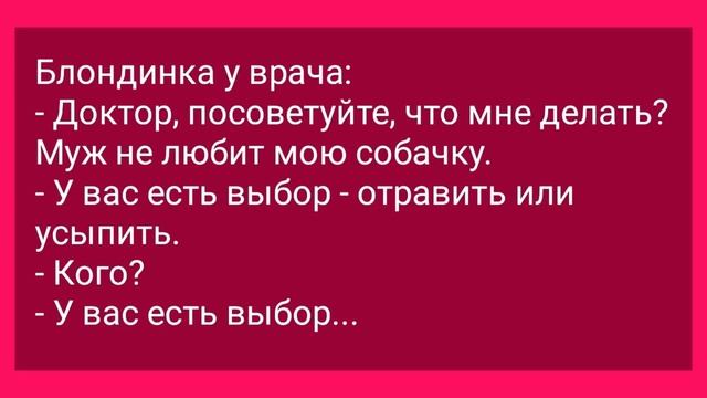 Анекдоты! Муж Изменил с Училкой! Подборка Веселых Анекдотов для Настроения!