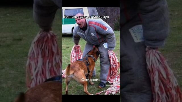 A510fb988e6cd1625b7cf1c606e22999