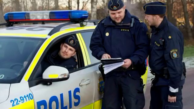 Störkraft - Deutschlands Polizei 