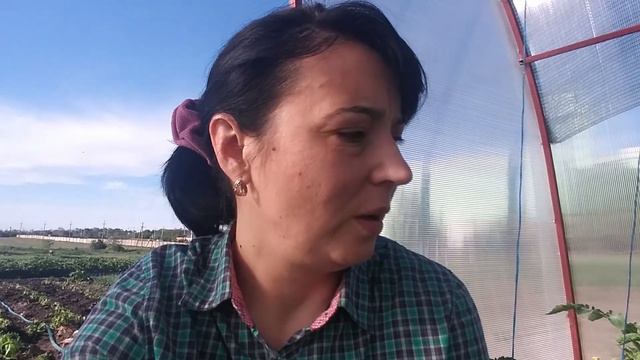 Весь день в теплице и огороде  17 05 2020