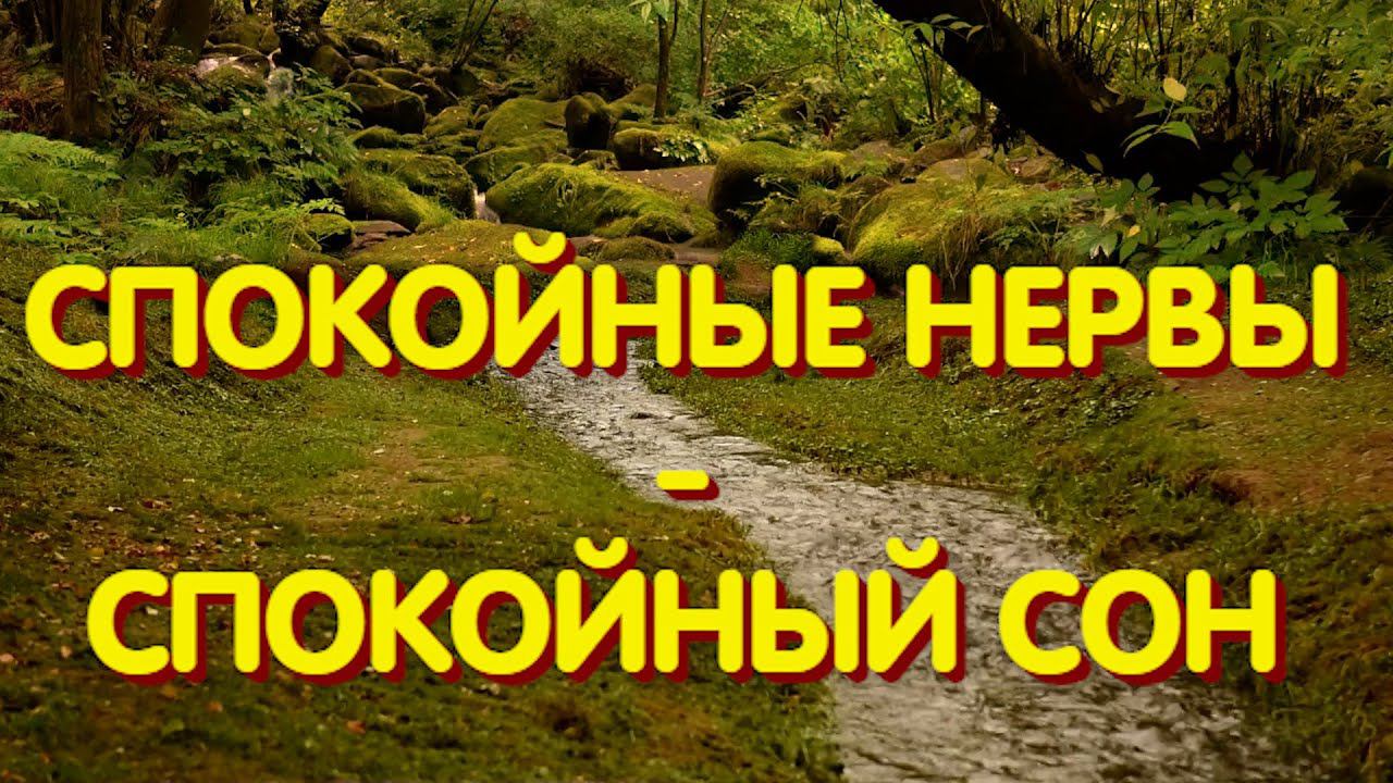 СПОКОЙНЫЕ НЕРВЫ СПОКОЙНЫЙ СОН
