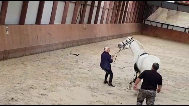 Без названия