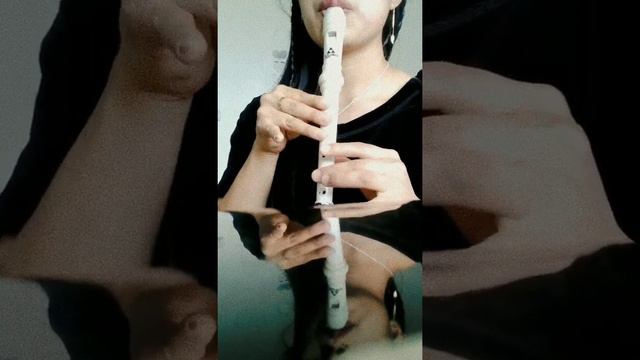 Wuji En Flauta Dulce