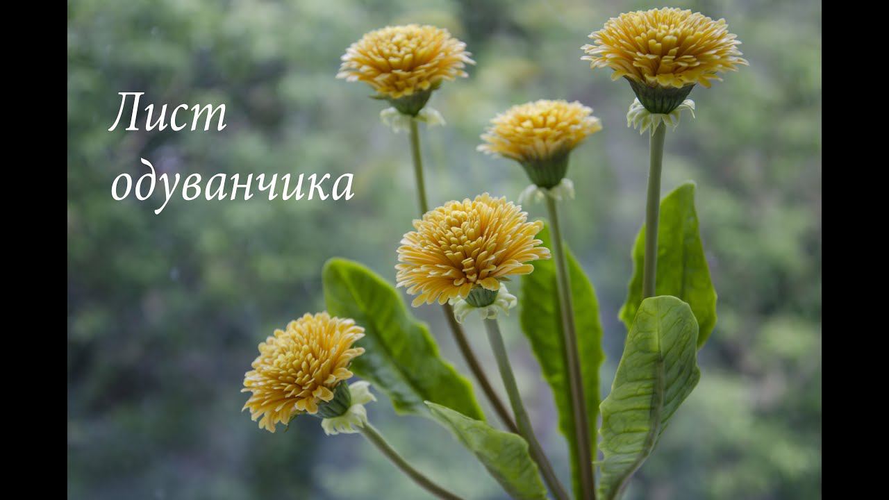 867098ca09ca7faab2c8a8dcdb3f8f09