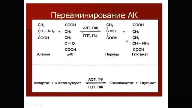 Аминқышқылдары