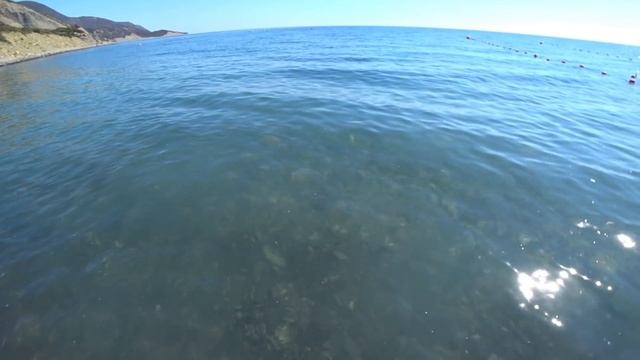 Большой Утриш после пожара. Заповедный, реликтовый лес, море, пляж. (Папа Может)