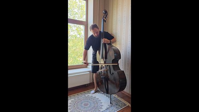 Контрабас №102