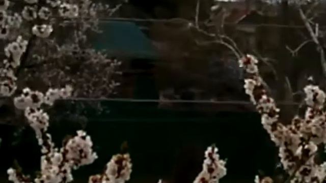 Колокольный звон льется в открытое окно.