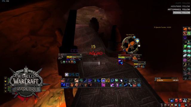 Lvl 52 Feral Druid Near Death. Hardcore Classic