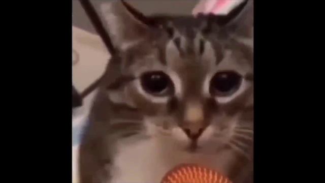 Наша Раша- шаблон для мема