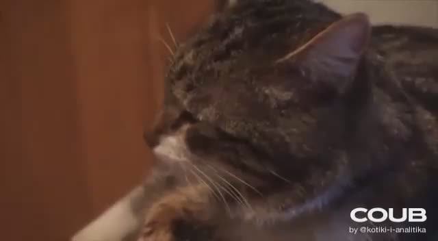 Уникальное видео 2