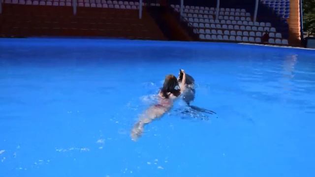 Плавание с дельфинами в большом бассейне